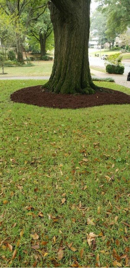 Painted Brown Mulch - Image 3